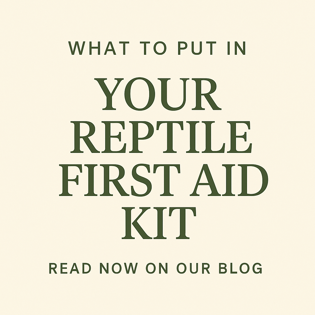 What Are Some Essential Items to Include in a Reptile First Aid Kit?