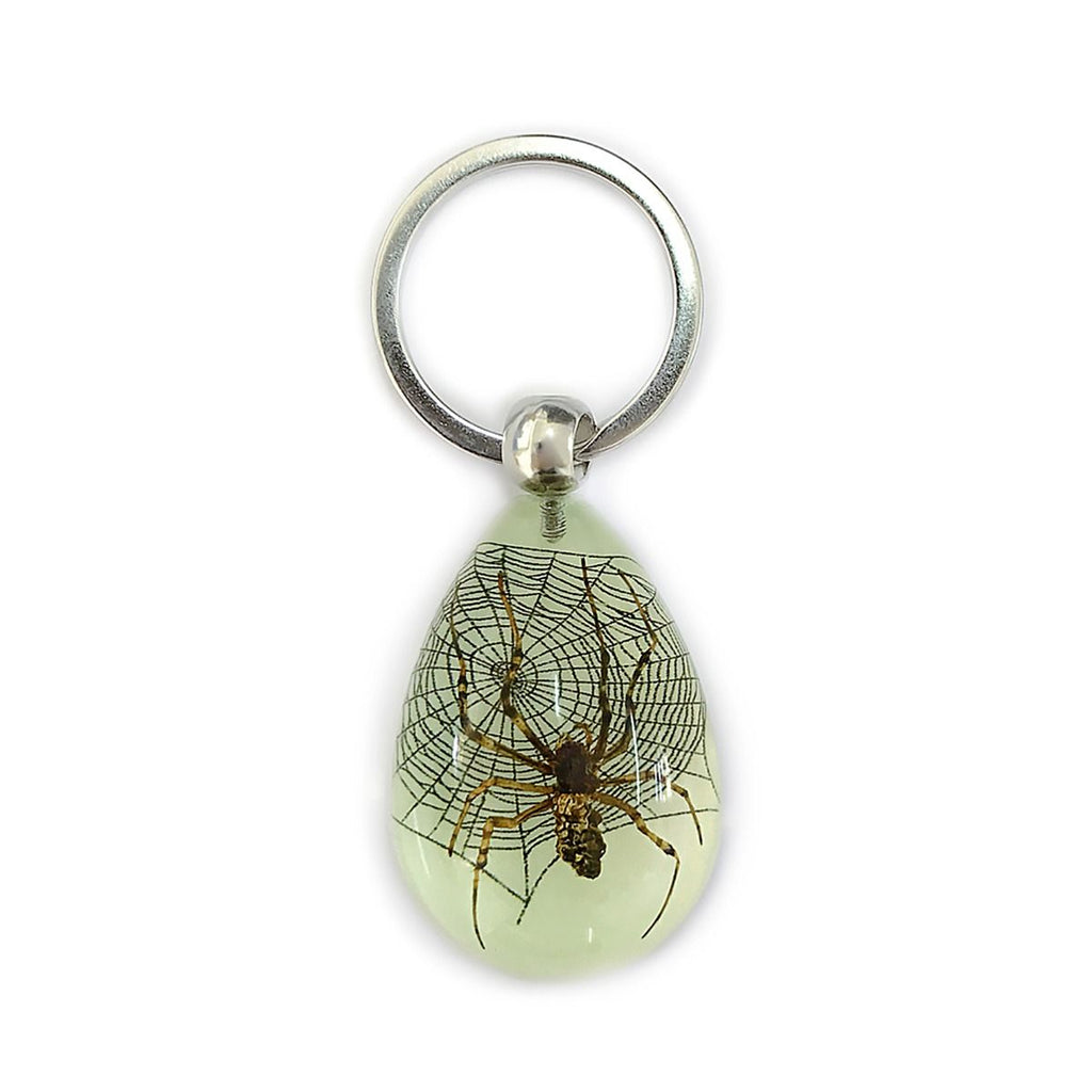 Real Spider Keychain Glow In The Dark Resin Real Nature Gift Jewelry With Box
