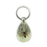 Real Spider Keychain Glow In The Dark Resin Real Nature Gift Jewelry With Box