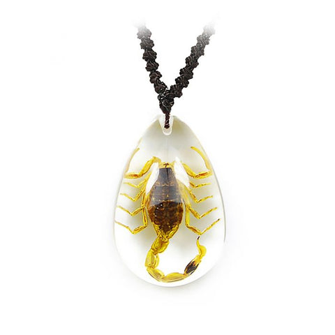 Real  Bark Scorpion Necklace Real Nature Gift