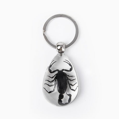 A - Real Black Scorpion Keychain Real Nature Gift With Box