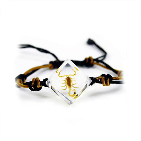 Real Bark Scorpion Bracelet Diamond Shaped Clear Real Nature Gifts