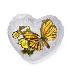 A - Real Butterfly Resin Heart Shaped  Real Nature Gift
