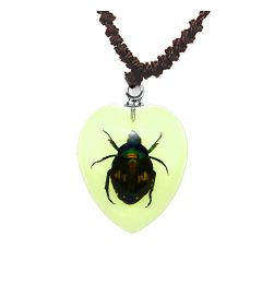 A - Real Chafer Beetle Heart Shaped Necklace, Glows In The Dark Real Nature Gift