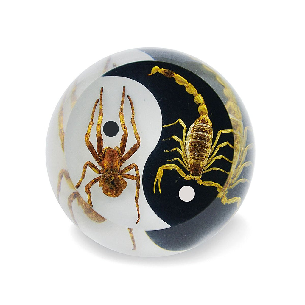 Real Bark Scorpion & Wolf Spider Yin-Yang Resin Globe – White & Black Design (2.4" Circumference) | Real Nature Gift (Copy)