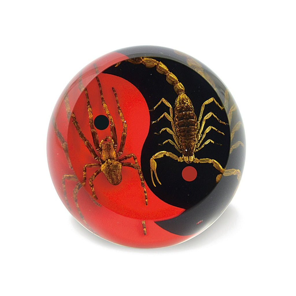 Real Bark Scorpion & Wolf Spider Yin-Yang Resin Globe – Red & Black Design (2.4" Circumference) | Real Nature Gift