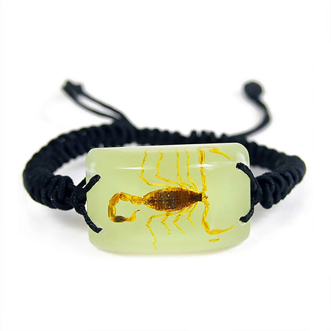 Real Bark Scorpion Bracelet Rectangle Shaped Glow in the Dark Real Nature Gift