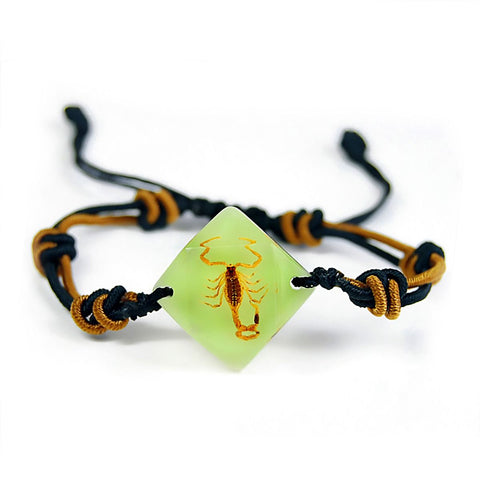 Real Bark Scorpion Bracelet Diamond Shaped Glow in the Dark Real Nature Gift