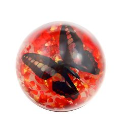 Real  Butterfly In Resin  Half-dome ReaL Nature Gift