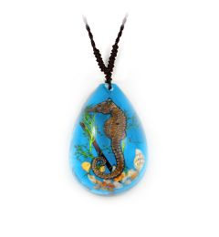 A- Real Seahorse Necklace Real Nature Gifts Jewelry with Gift Box