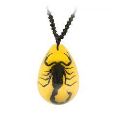 A - Real Black Scorpion Necklace Real Nature Gift