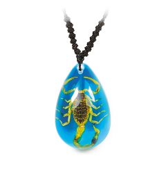 Real Scorpion Necklace Real Nature Gift Jewelry With Box
