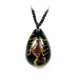 A -Real Scorpion In Lucite Necklace Real Nature Gift Jewelry With Box