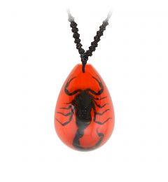 A - Real Black Scorpion In Lucite Necklace Real Nature Gift Jewelry With Box