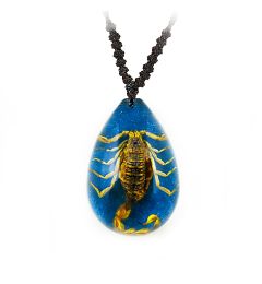 A Real Scorpion Necklace Assorted Colors Real Nature Gift Jewelry With Box