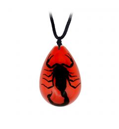A Real Black Scorpion In Lucite Necklace Real Nature Gift Jewelry With Box