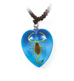 A - Real Bark Scorpion Heart Shaped Necklace Real Nature Gift