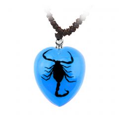 Real Black Scorpion Necklace Real Nature Gift Jewelry With Box