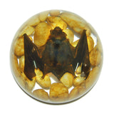 Real Horseshoe Bat In Resin Half Dome Real Nature Gift