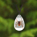 Real Spider Necklace Teardrop Shaped Clear Real Nature Gift