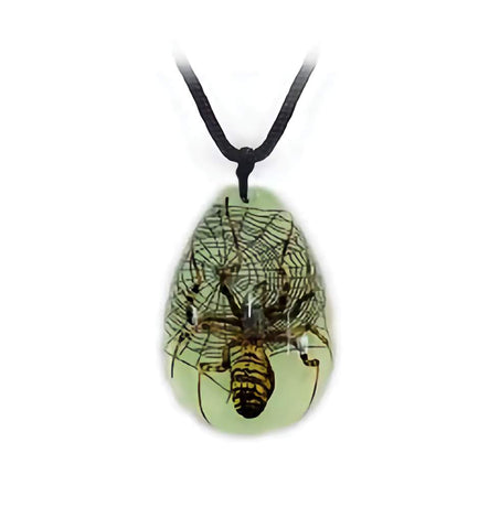 Real Spider Necklace Teardrop Shaped Glow In The Dark Real Nature Gift