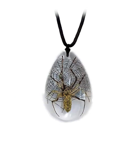 Real Spider Necklace Teardrop Shaped Clear Real Nature Gift