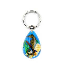 A - Real Seahorse Teardrop Shape Keychain Real Nature Gift