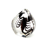 Real Black Scorpion Teardrop Shaped Resin Desktop Decoration Real Nature Gifts