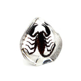 Real Black Scorpion Teardrop Shaped Resin Desktop Decoration Real Nature Gifts