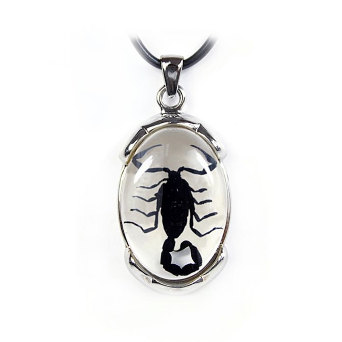 A - Real Black Emperor Scorpion Necklace Real Nature Gift
