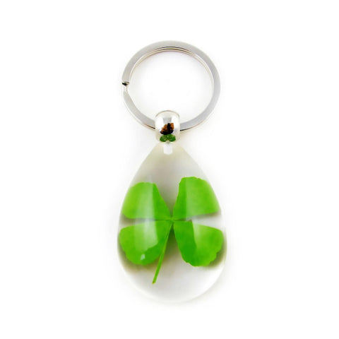 Real 4 Leaf Clover Clear Teardrop Keychain Clear – Real Nature Gifts