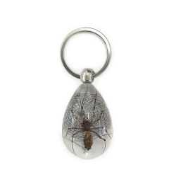 A - Real Spider Keychain Real Nature Gift Jewelry With Box