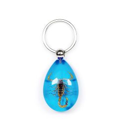 A - Real Scorpion Keychain Real Nature Gift Jewelry With Box