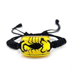 A - Real Black Scorpion Bracelet Real Nature Gift Jewelry With Box
