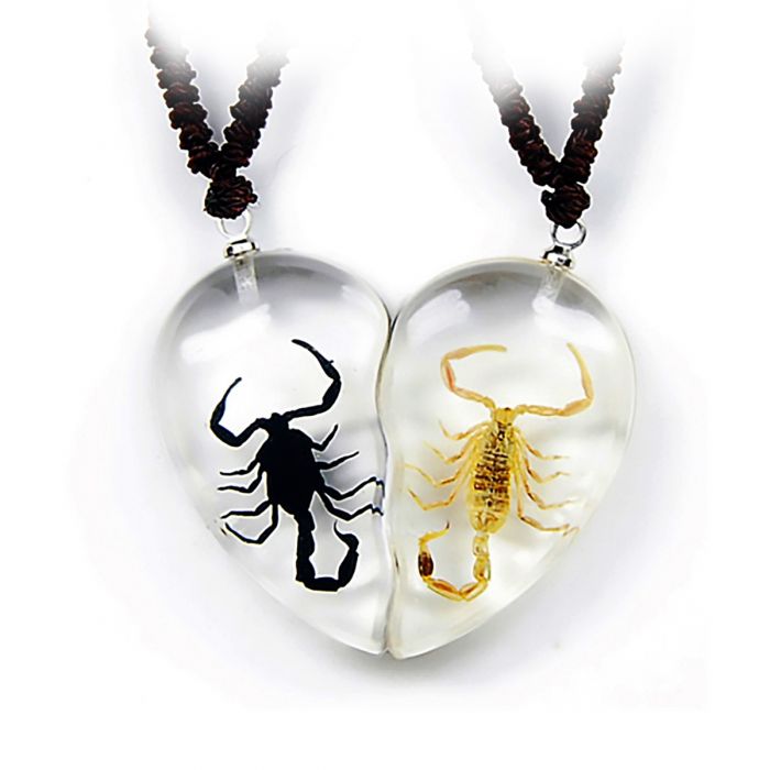 A - Real Scorpion Valentine Necklace Real Nature Gift Jewelry With Box