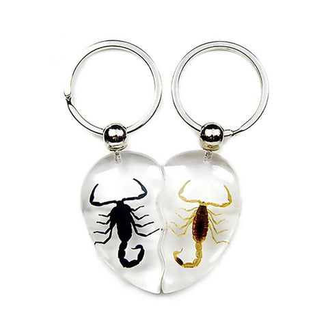 A - Real Scorpion Valentine Keychain Real Nature Gift