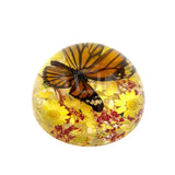 Real Butterfly Half-Dome Monarch with Yellow Flower Real Nature Gift