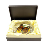 Real Butterfly Round Shape Desktop Decoration Monarch Butterfly With Gift Box