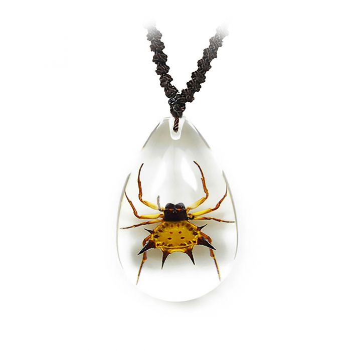 A - Real Real Spinyback Spider Necklace with Nylon Cord Real Nature GIFT