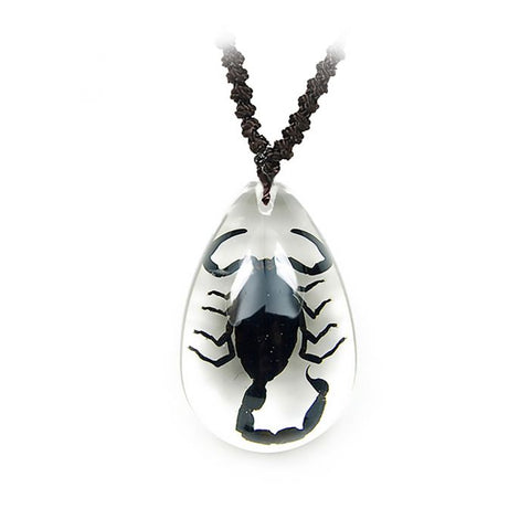 A - Real Necklace with Nylon Cord  Real Nature GiftBlack  Scorpion
