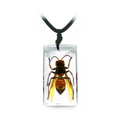 A - Real Murder Hornet Wasp Necklace Real Nature Gift Jewelry With Box
