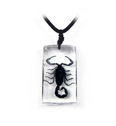 A - Real Black Emperor Scorpion Necklace Real Nature Gift Jewelry With Box