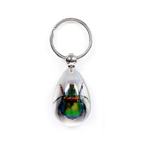 A - Real Rutelian Beetle Keychain Real Nature Gift With Box
