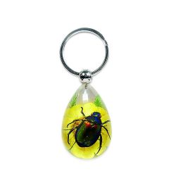 A - Real Rutelian Beetle Keychain Real Nature With Box