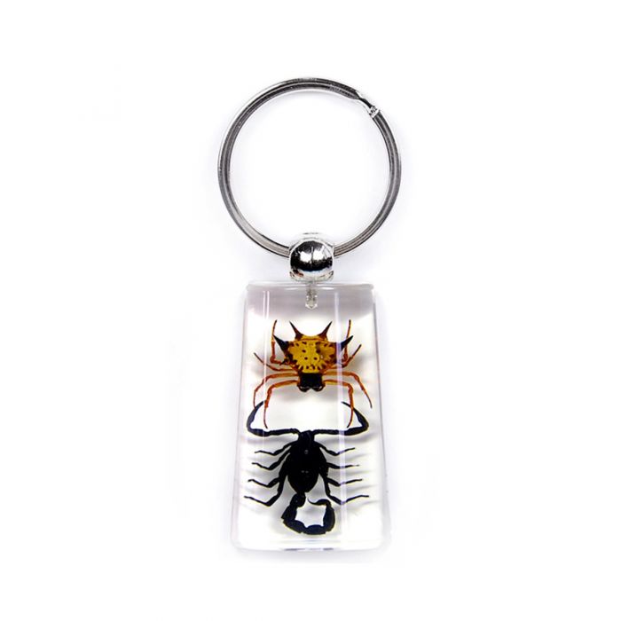 Real Spiny Spider & Black Scorpion Keychain Real Nature Gift Jewelry With Box