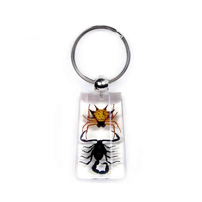 A - Real Spiny Spider & Black Scorpion Keychain Real Nature Gift Jewelry With Box