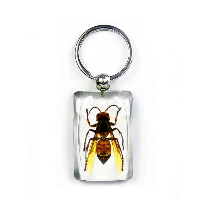 A - Real Wasp Keychain Real Nature Gift With Box