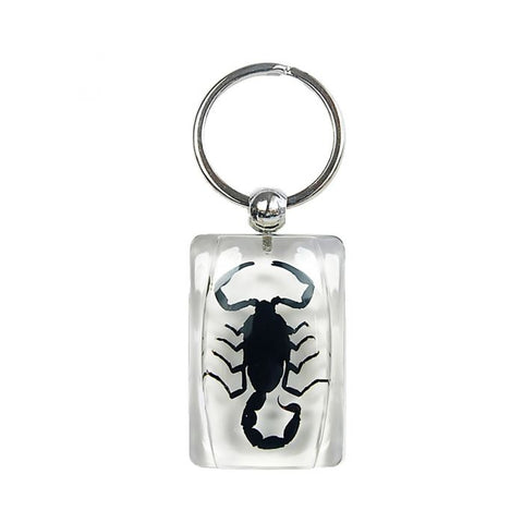 A - Real Black Scorpion Keychain (Glows-In-The-Dark) Real Nature Gift With Box