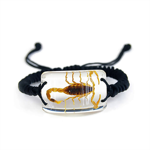 Real Bark Scorpion Bracelet Rectangle Shaped Clear Real Nature Gift