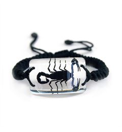 A - Real Black Scorpion Bracelet Rectangle Shaped Bracelet Real Nature Gift Jewelry With Box
